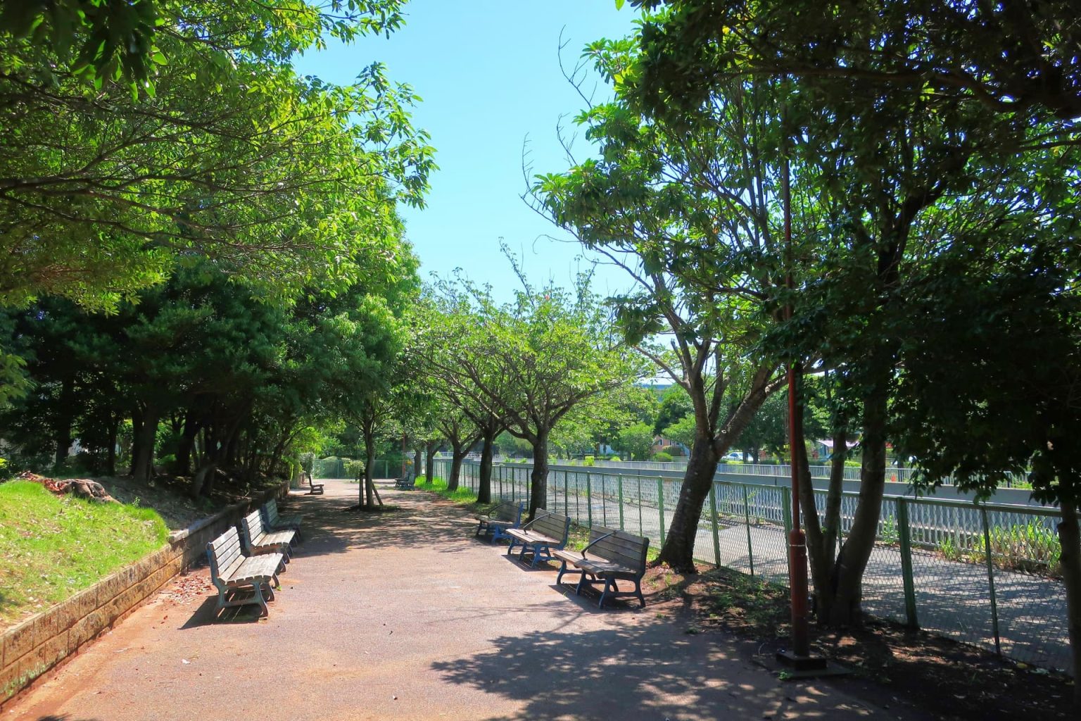 効果的な散歩の秘訣！効果や注意点を知ってより健康的な生活へ